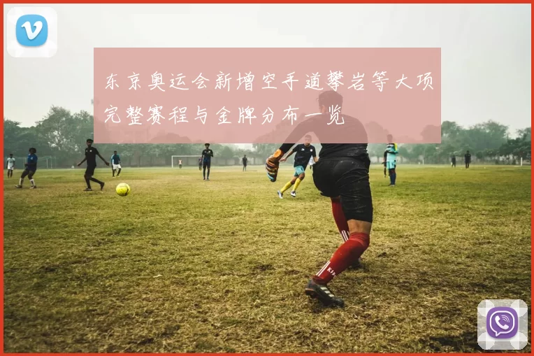 东京奥运会新增空手道攀岩等大项完整赛程与金牌分布一览