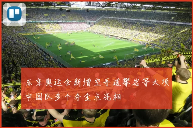 东京奥运会新增空手道攀岩等大项中国队多个夺金点亮相